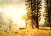 Hetch Hetchy Valley Albert Bierstadt